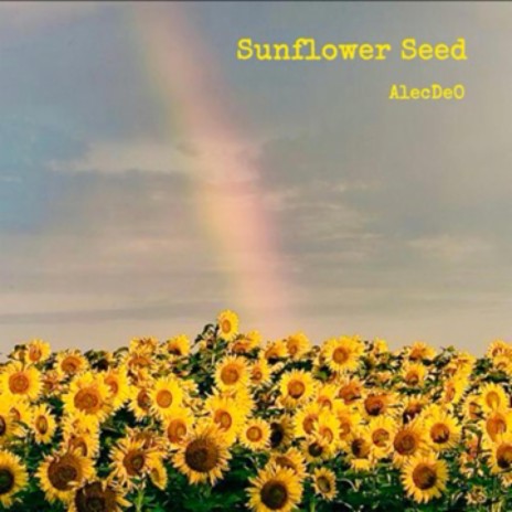 Sunflower Seed | Boomplay Music