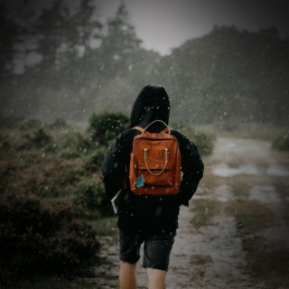 Calming Sounds of Walking in the Summer Rain for Clear Thinking and Better Focus