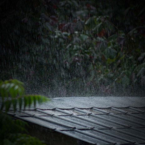 Relaxing Sound of Rain Drops on a Rooftop for Mindfulness and Relaxation ft. Relaxed Minds & Water Soundscapes