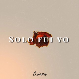 Solo Fui Yo