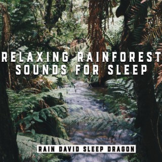 Relaxing Rainforest Sounds for Sleep