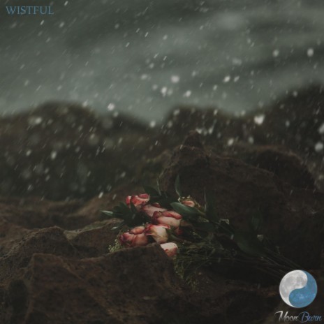 Wistful | Boomplay Music