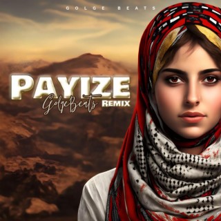 Payize (Remix)