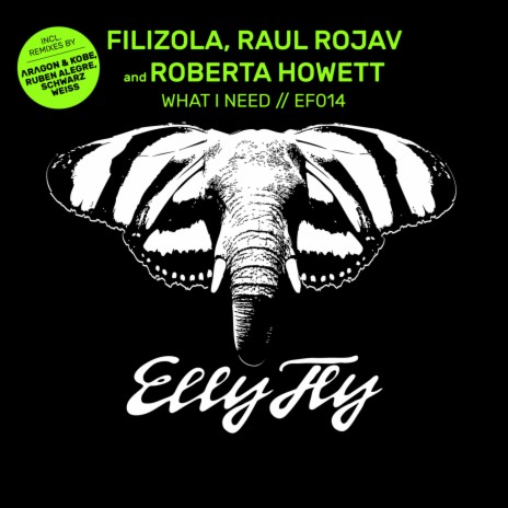 What I Need (Ruben Alegre, Schwarz Weiss Remix) ft. Raul Rojav & Roberta Howett | Boomplay Music