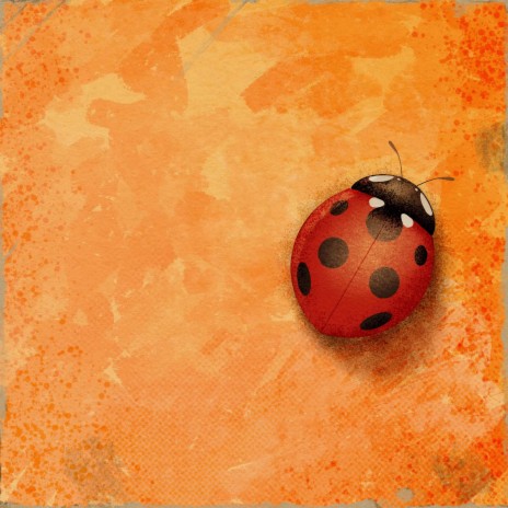 Ladybug ft. Riley Owens | Boomplay Music