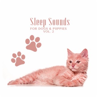 Sleep Sounds for Dogs & Puppies Vol. 2: Soothing Music to Help Your Puppy Go to Sleep at Night, Relaxation Bedtime Songs & Calm Sleep Lullabies for Dogs