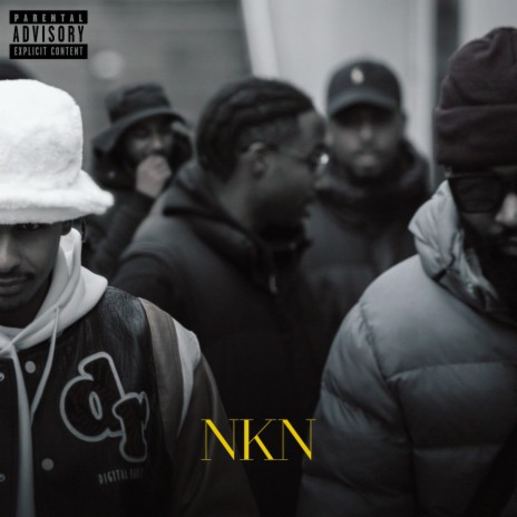NKN | Boomplay Music