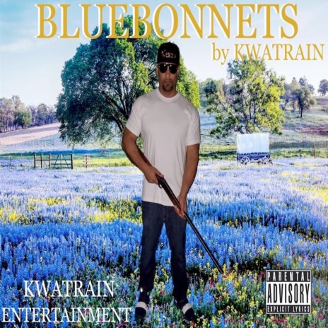 Bluebonnets | Boomplay Music