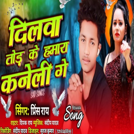 Dilaw Toda Ke Hamara Kaneli Ge | Boomplay Music