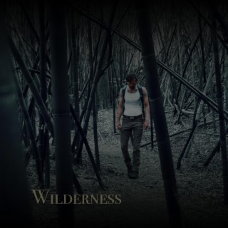 Wilderness