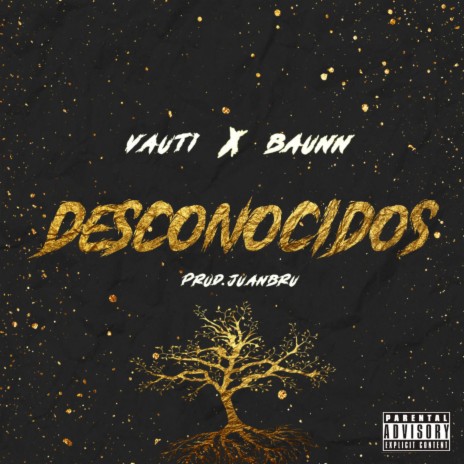 Desconocidos (feat. Vauti) | Boomplay Music