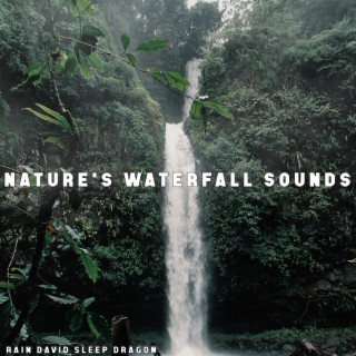 Nature's Waterfall Sounds