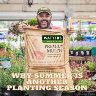 Why Summer is Another Planting Season
