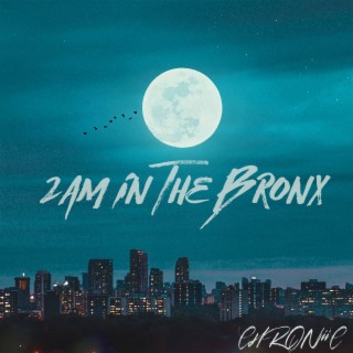 2AM in The Bronx