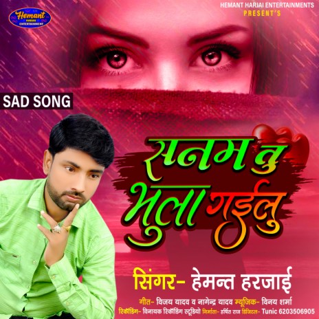 Sanam Tu Bhula Gailu (Dard Bhari Gajal) | Boomplay Music