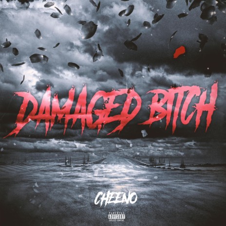 Damaged Bítch | Boomplay Music