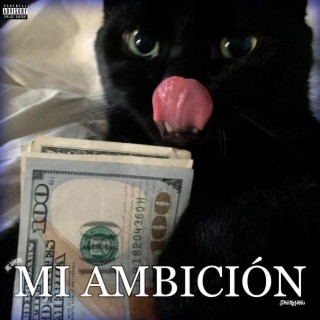 Mi Ambición