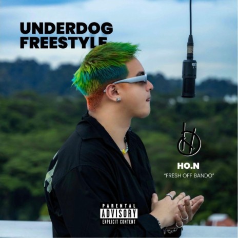 UNDERDOG FREESTYLE | Boomplay Music