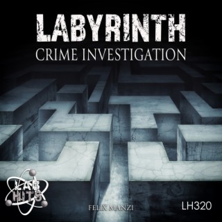 Labyrinth: Crime Investigation