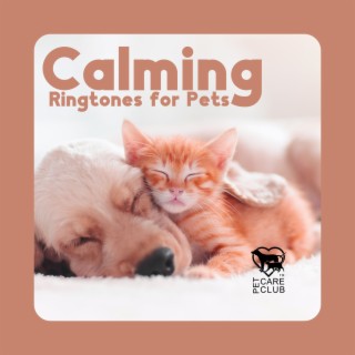 Calming Ringtones for Pets: Canine and Feline Calming Sounds