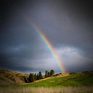 Feel Calm and Relieve Anxiety with After Rain Nature Sounds