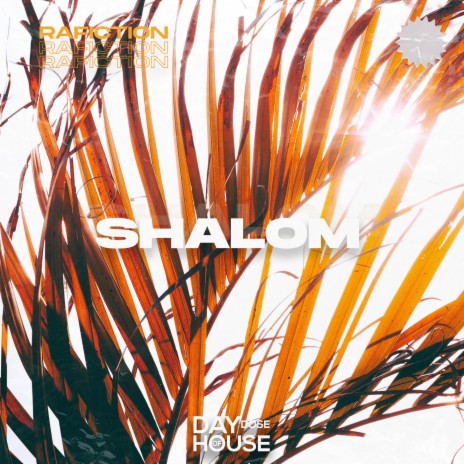 Shalom | Boomplay Music