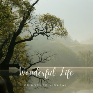 Wonderful Life