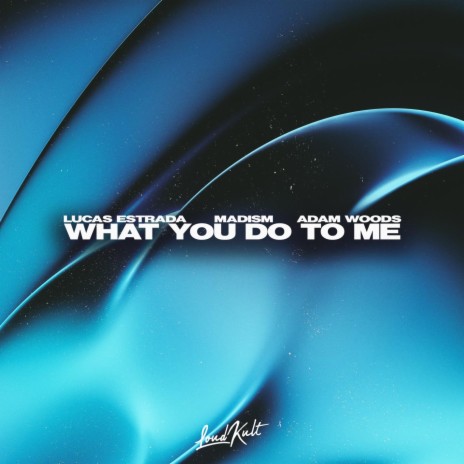 What You Do To Me ft. Madism, Adam Woods, Alexander Laitila, Adam Allskog & Lucas Carlson Estrada