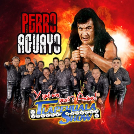 Perro Aguayo | Boomplay Music