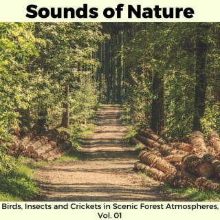 Sounds of Nature - Birds, Insects and Crickets in Scenic Forest Atmospheres, Vol. 01