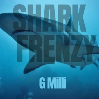 Shark Frenzy