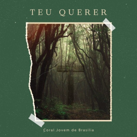 Teu Querer | Boomplay Music