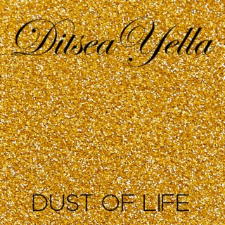 Dust of Life lyrics | Boomplay Music