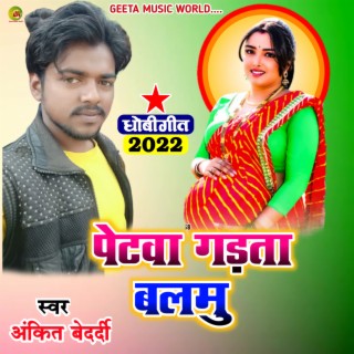 Petwa Mor Gadata Balmu Ankit Bedrdi