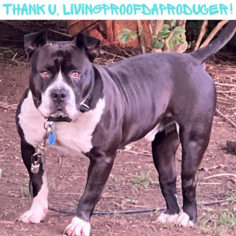 THANK U, LIVINGPROOFDAPRODUCER! | Boomplay Music