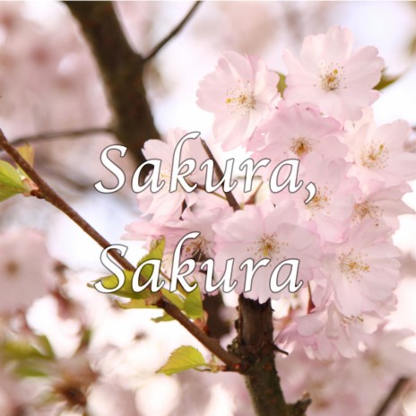 Sakura, Sakura - Japanese Traditional Piano Instrumental