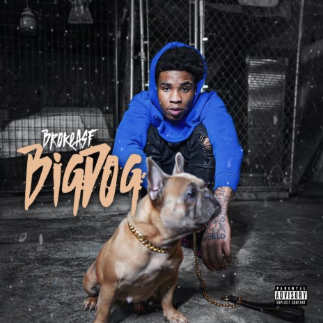 Big Dog | Boomplay Music