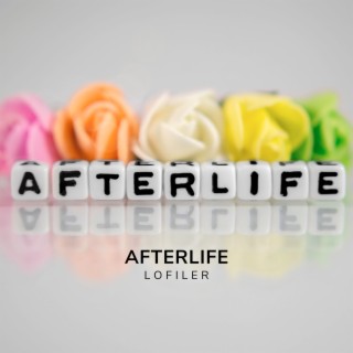 Afterlife