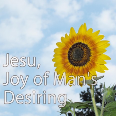 Jesu, Joy of Man's Desiring - Piano Instrumental