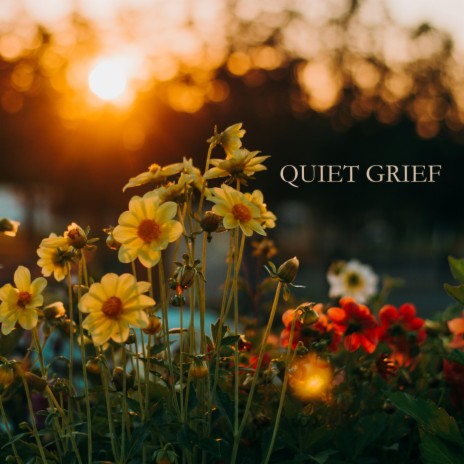 quiet grief | Boomplay Music