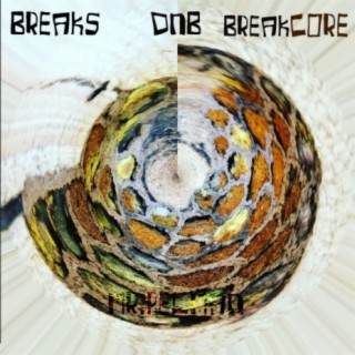 Breaks Dnb Breakcore