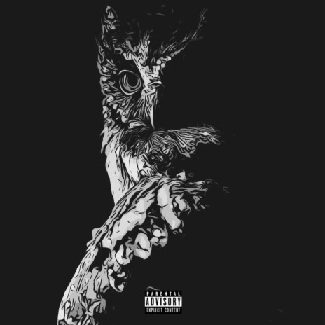 Night Owls ft. Owlkast | Boomplay Music
