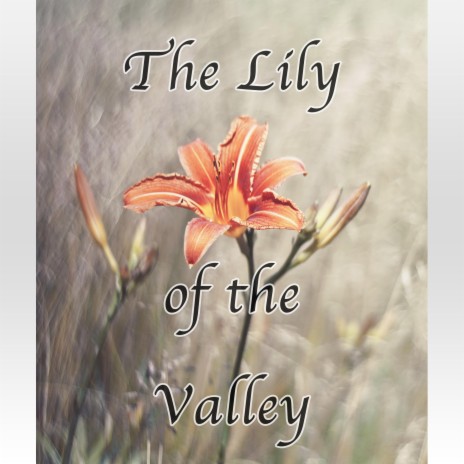 The Lily Of The Valley - Hymn Piano Instrumental | Boomplay Music