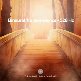 Bi-naural Transcendence (528 Hz)