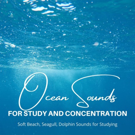 Dolphin Sounds for Studying