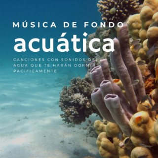 Música de Fondo Acuática: Canciones con Sonidos del Agua que te Harán Dormir Pacíficamente