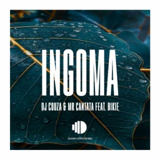 Ingoma (feat. Bikie)