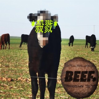 beef.