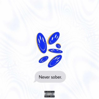 Never Sober ft. Bradeee lyrics | Boomplay Music