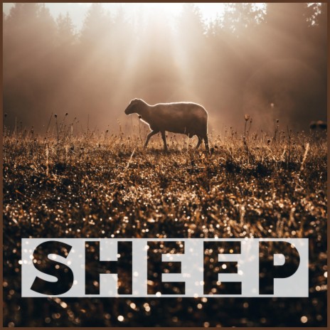 Sheep | Boomplay Music